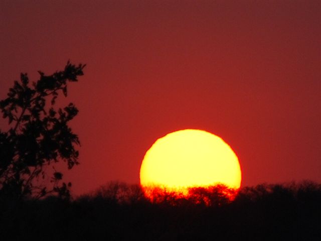 Kruger sunset.JPG